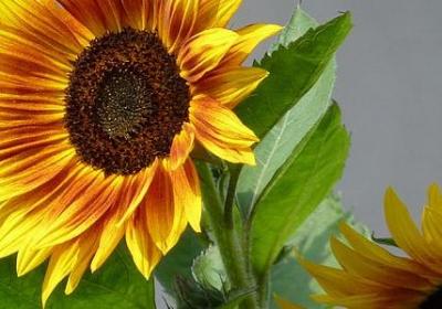 自我反省的经典语录(合集55句)