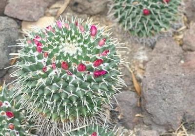 经典语录爱情美好短句(热门20句)