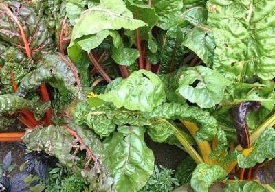 积福行善的经典语录(60句)