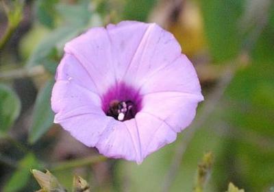 经典语录人生感悟(热门70句)