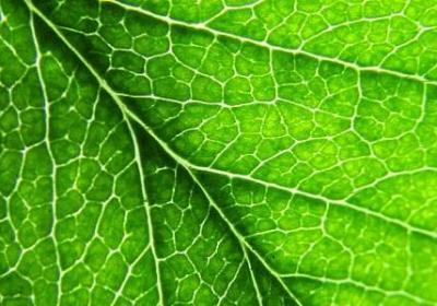 童年经典语录(汇总60句)