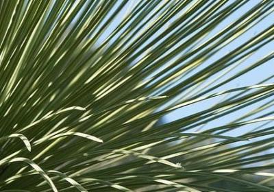 结婚纪念日的经典语录(推荐50句)