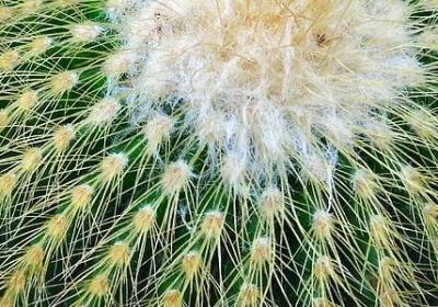 祝福父亲生日经典语录(通用70句)