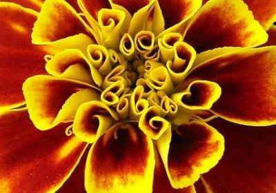 舍不得孩子的经典语录(通用60句)