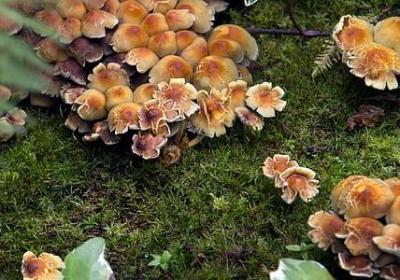 经典语录正能量(80句)