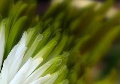 经典语录壁纸(优选20句)