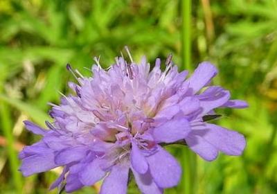 科幻小说经典语录(热门30句)