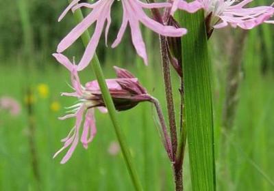 经典语录社会现实句子(推荐50句)