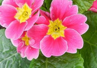 自尊自爱自重经典语录(共20句)