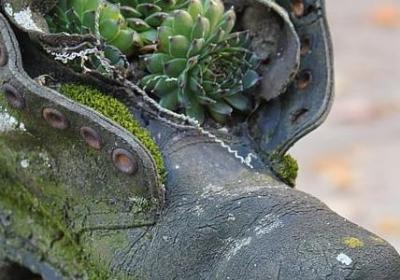 网易云经典语录(推荐70句)