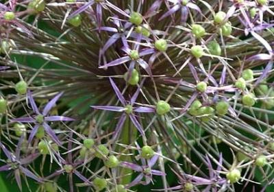 秋天伤感的经典语录(精选50句)