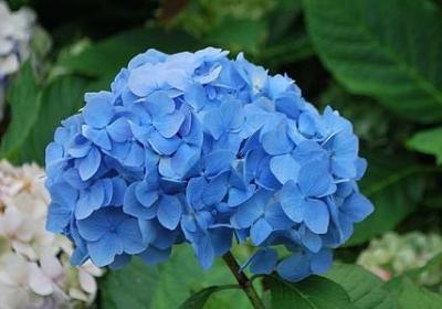 脱口秀经典语录(汇总50句)