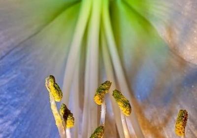 经典语录一句话(80句)