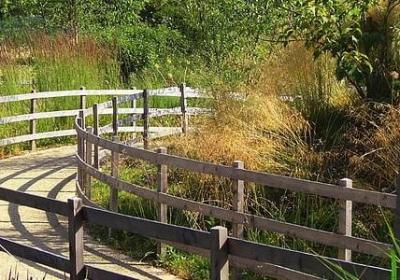 穿越火线经典语录(必备60句)