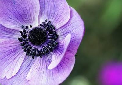 穷的经典语录(优选40句)