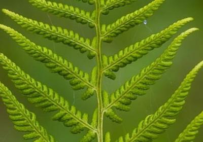 美好的一天经典语录(40句)