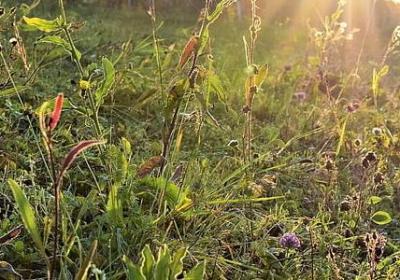 纹身经典语录(共80句)