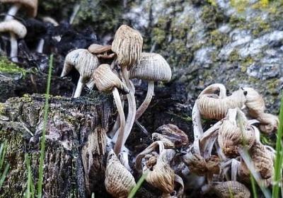 美国往事经典语录(热门20句)