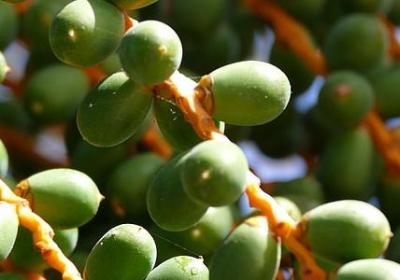 简爱的经典语录(通用50句)