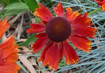 离开前请叫醒我经典语录(优选54句)