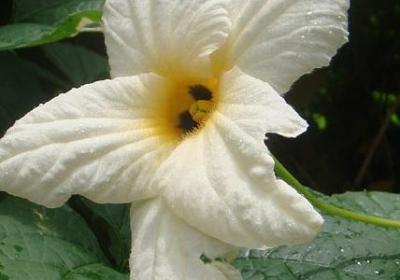 祝福朋友的话经典语录(69句)