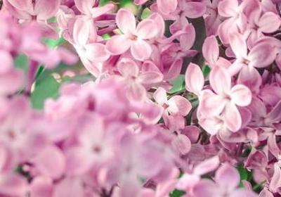 网络与现实经典语录(热门60句)