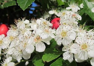 经典语录 霸气(优选70句)