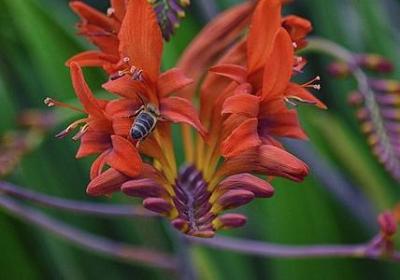 美食一句话经典语录(推荐70句)