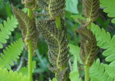 经典语录电影(推荐20句)