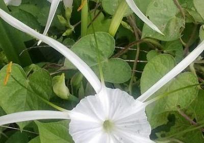 福尔摩斯经典语录80条(优选71句)