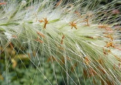 糊涂一点的经典语录(精选50句)