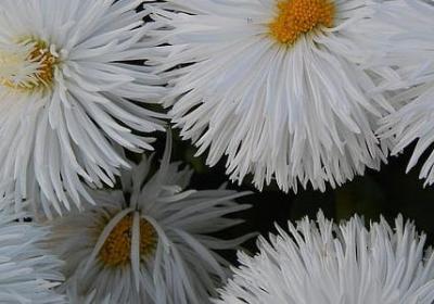 美食的句子 经典语录(热门40句)