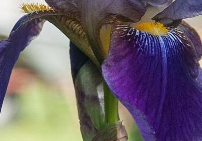 离别经典语录(实用40句)