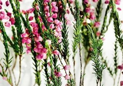 自由在高处经典语录(汇总113句)