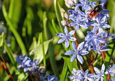 红色经典语录(77句)