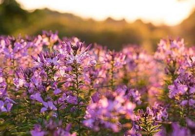 老婆语录经典语录(汇总82句)