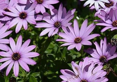 红海行动经典语录(合集60句)