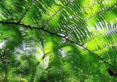 祥林嫂经典语录(优选78句)