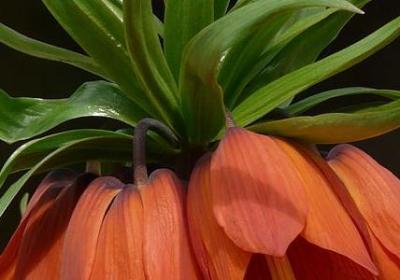 经典语录图片带字(优选70句)