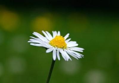 耽美经典语录(优选100句)