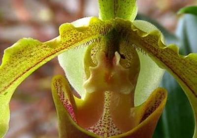 经典语录头像(合集40句)