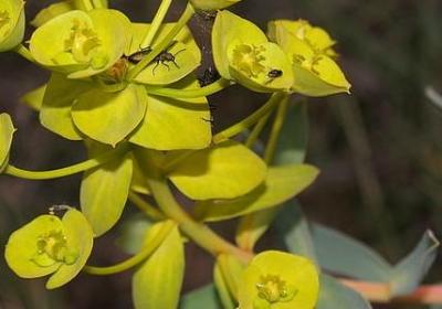 穷人借钱难的经典语录(实用60句)