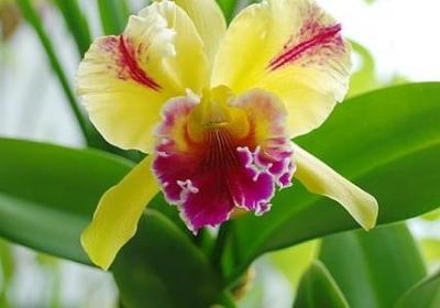 祈祷落幕时经典语录(实用70句)