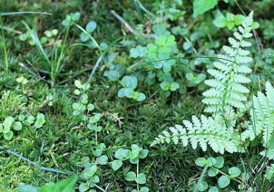 职场骂人经典语录(实用70句)