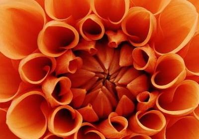 科比经典语录英文(优选34句)