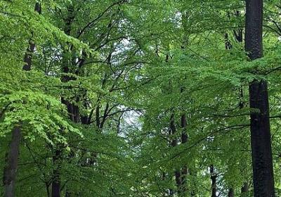 老板励志的经典语录(精选60句)