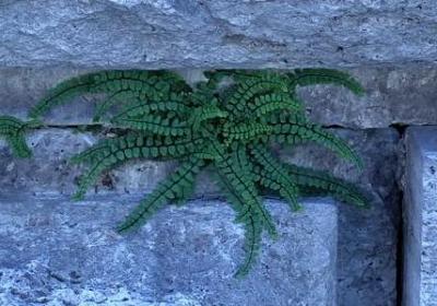 致男人的经典语录(实用40句)