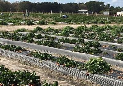 离别与重逢的经典语录(合集40句)