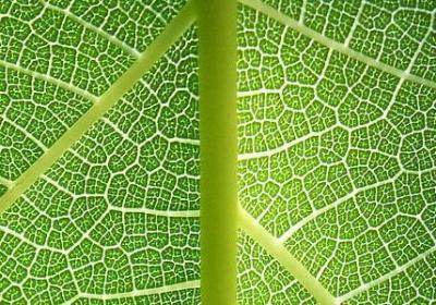 聚会语言经典语录(实用90句)