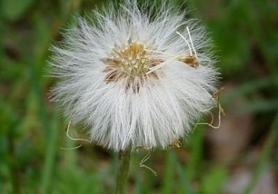 篮球语句经典语录(通用50句)